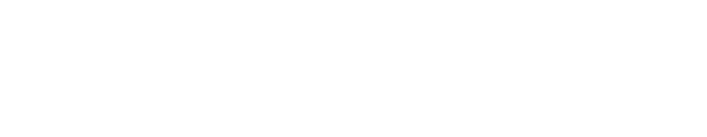 MaxiConnect